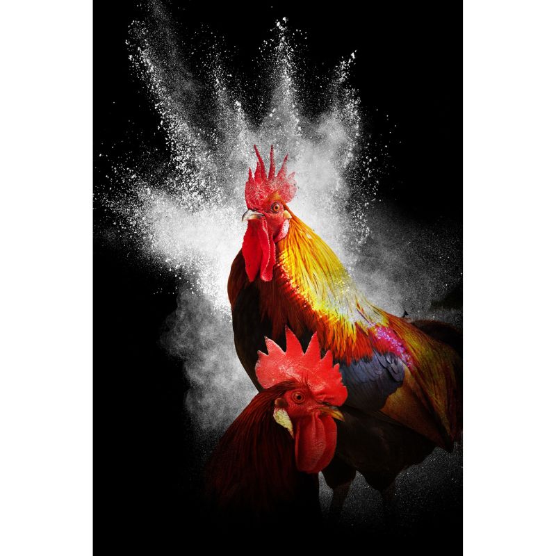 Bold Roosters and Powder Burst Black Art Puzzle – 1000 Pieces