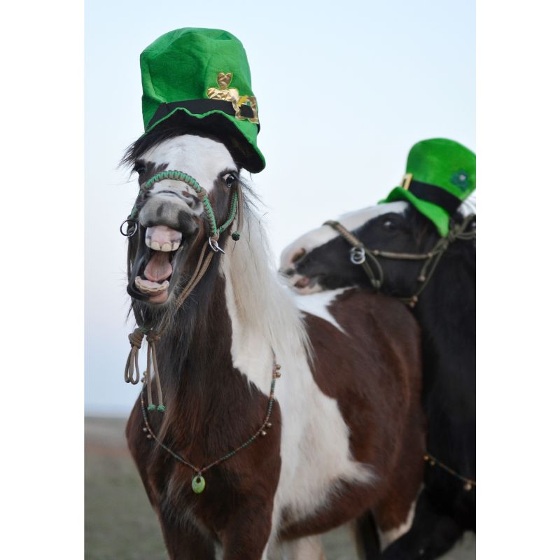 Funny Horses in Green Hats 1000 Piece Puzzle for Adults