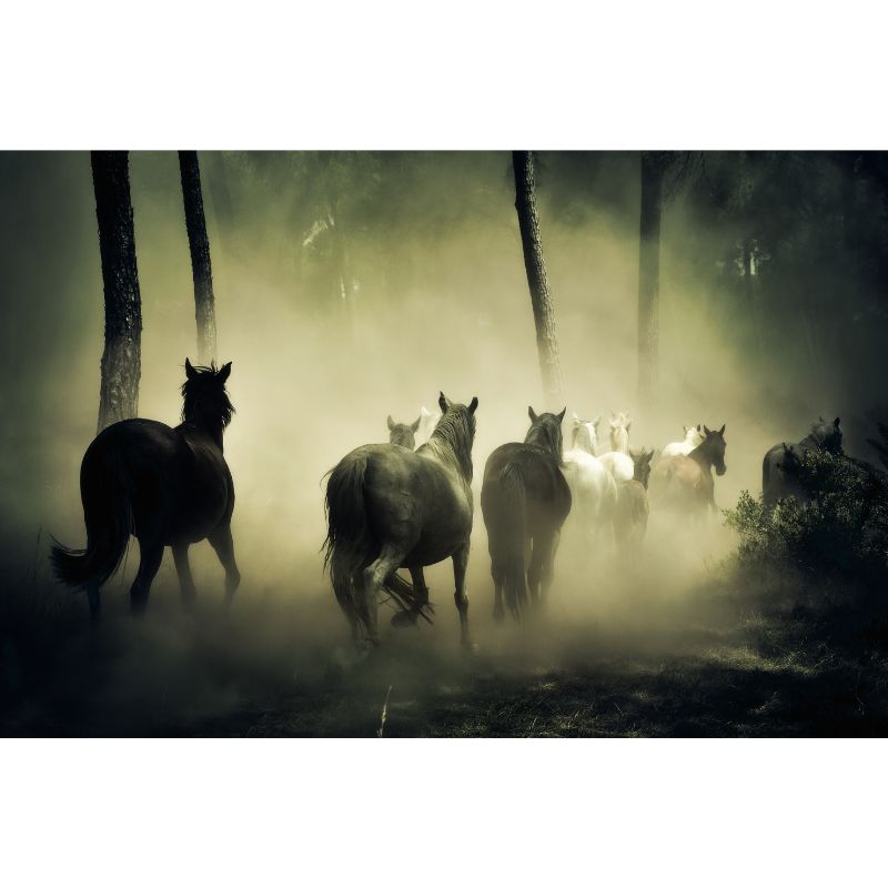 Herd of Wild Horses in Forest Mist 1000 Piece Puzzle for Adults