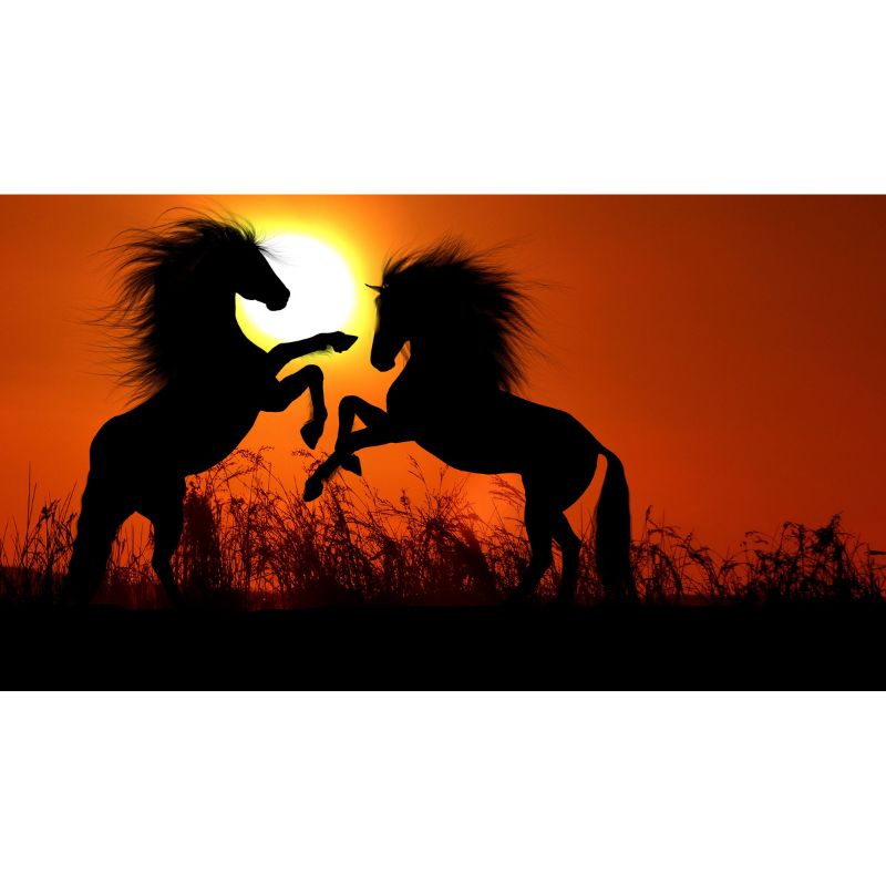 Rearing Horses at Sunset Silhouette 1000 Piece Puzzle for Adults
