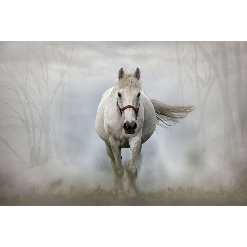 White Horse Galloping Through Mist 1000 Piece Puzzle for Adults