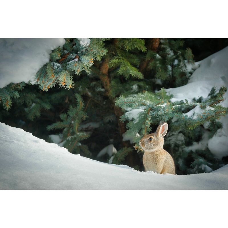 Winter Bunny in Snowy Forest Pine Scene Puzzle – 1000 Pieces