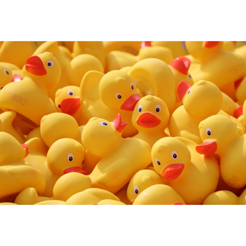 Cheerful Rubber Duck Puzzle – Yellow Bath Toy Fun 1000pc