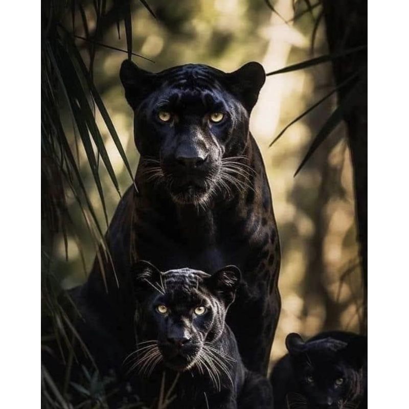 Sleek Midnight Jungle Panther Family 1000 Piece Puzzle